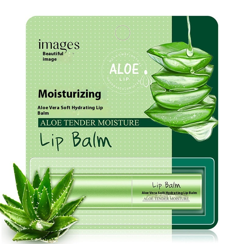 Honey Moisture Plant-Based Lip Balm – Hydrating & Nourishing Care