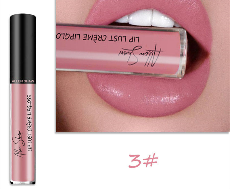 Luxury Lip Gloss with Silky Cream Texture & High Shine