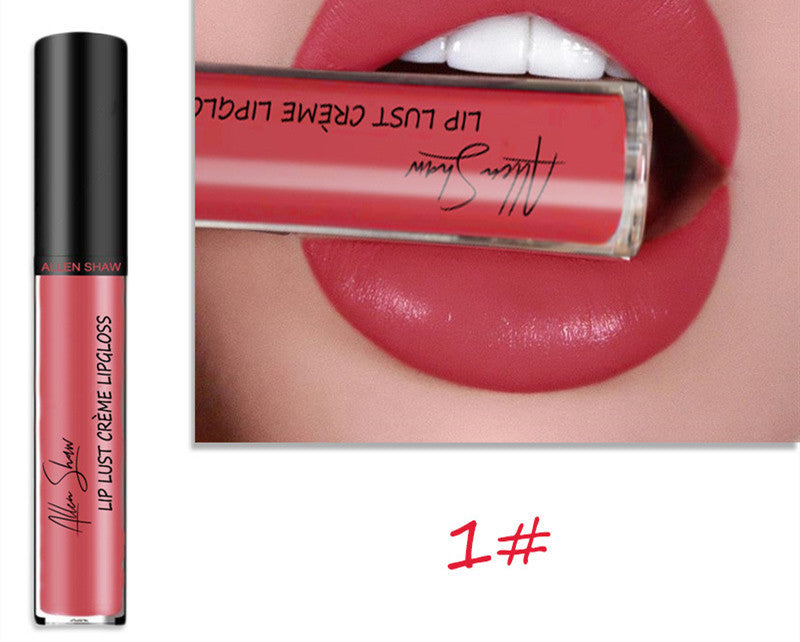 Luxury Lip Gloss with Silky Cream Texture & High Shine