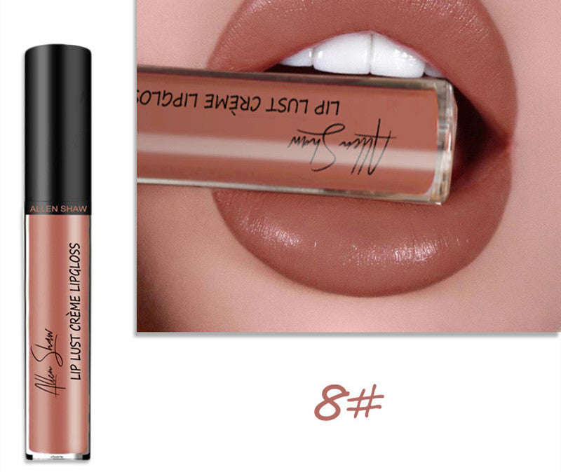 Luxury Lip Gloss with Silky Cream Texture & High Shine