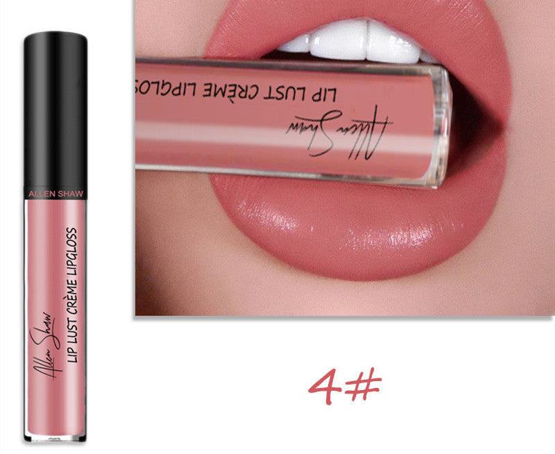 Luxury Lip Gloss with Silky Cream Texture & High Shine