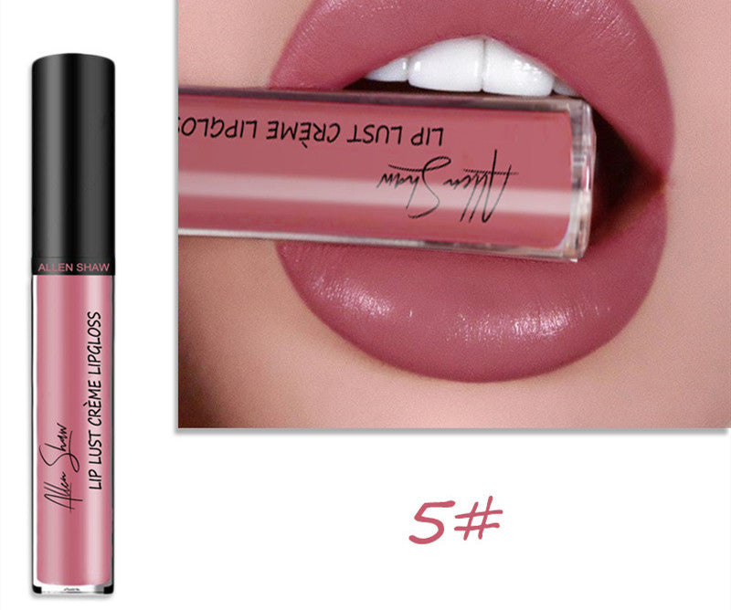 Luxury Lip Gloss with Silky Cream Texture & High Shine