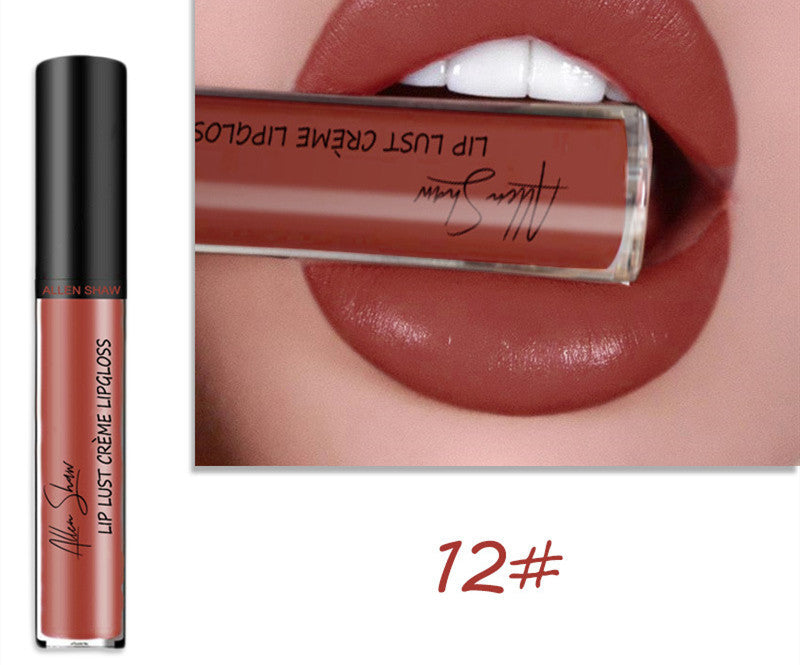 Luxury Lip Gloss with Silky Cream Texture & High Shine