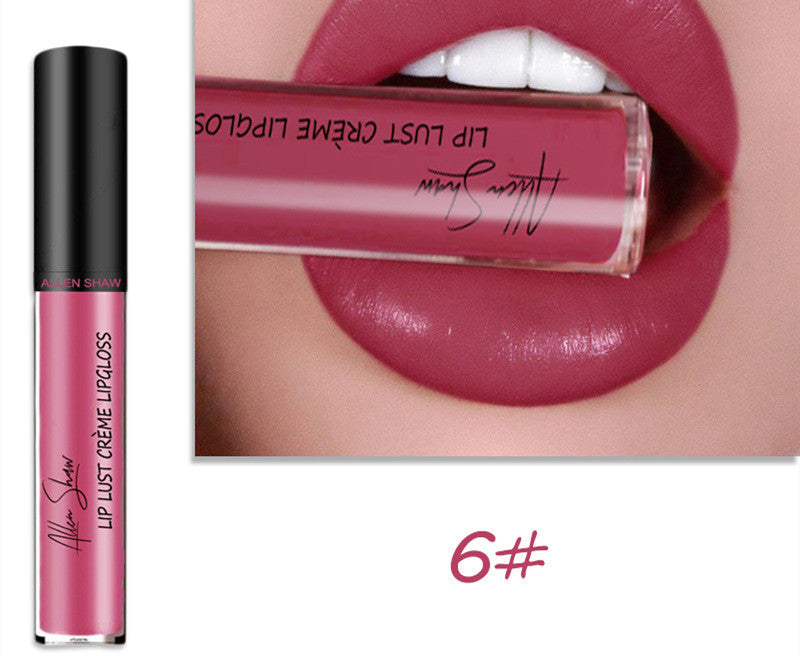 Luxury Lip Gloss with Silky Cream Texture & High Shine