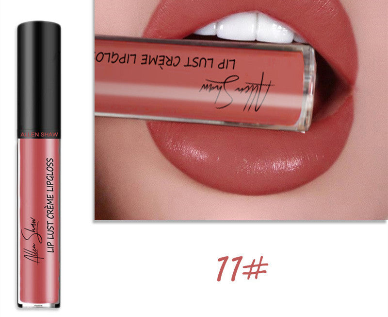 Luxury Lip Gloss with Silky Cream Texture & High Shine