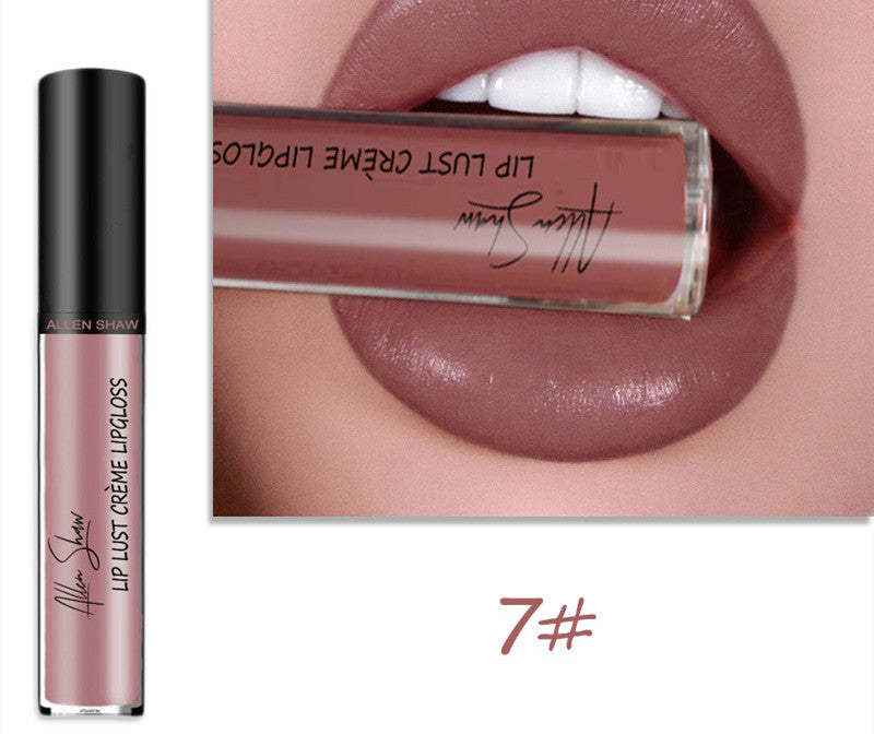 Luxury Lip Gloss with Silky Cream Texture & High Shine
