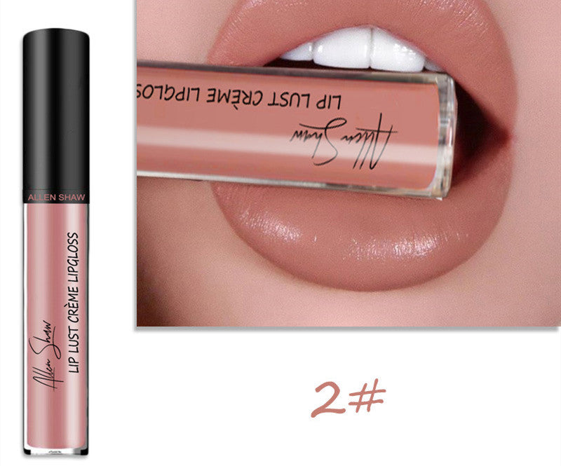 Luxury Lip Gloss with Silky Cream Texture & High Shine