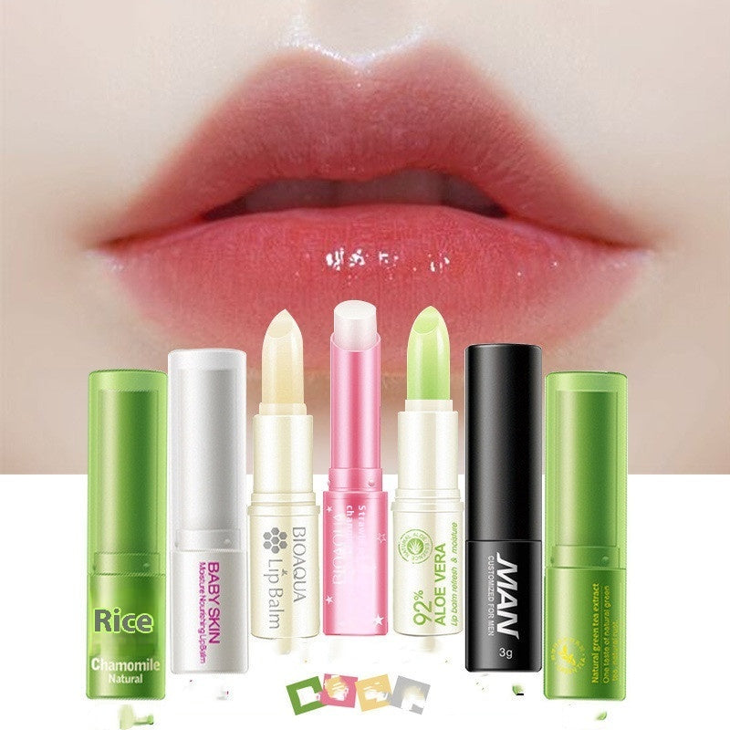 Honey Moisture Plant-Based Lip Balm – Hydrating & Nourishing Care